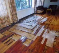 平沙殺蟲別墅地板案例