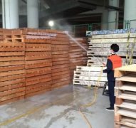平沙殺蟲案例展示
